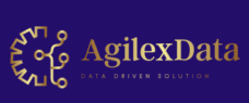 AgilexData